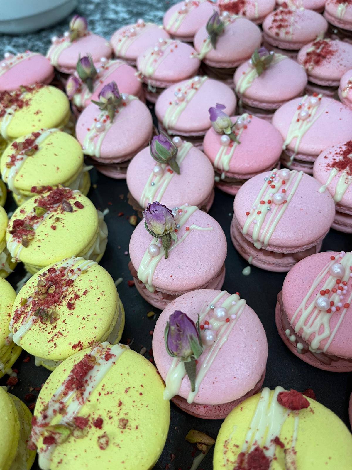 OBSAZENO - Makrónkový maraton 13. 9. 2025